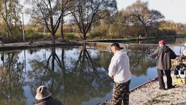 Тестирование мягкой ,яркой резины от компании CRAZY TROUT в рыбаловном клубе Рыбалка на Столбовой. смотреть онлайн