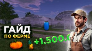ГАЙД ПО ФЕРМЕ 2025 ГОДА ПОДРОБНО!!! AMAZING ONLINE FARM!!! ТОПОВЫЙ СПОСОБ ЗАРАБОТКА!!!