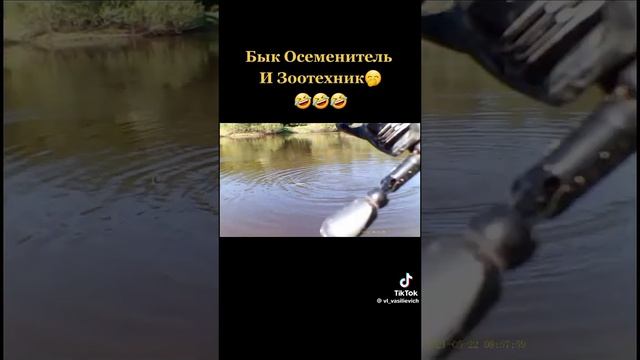 1000013939.mp4 смотреть онлайн