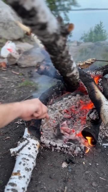 Как правильно готовить рыбу! смотреть онлайн