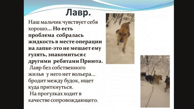 Лечение. Как прошёл наш декабрь 2020г. смотреть онлайн