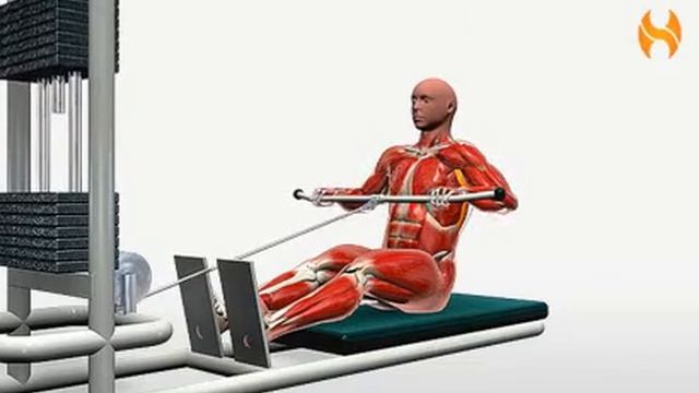 Exercise Videos- Wide-Grip Seated Row смотреть онлайн