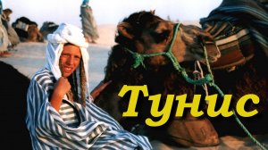 Солнечный круг. Тунис.
