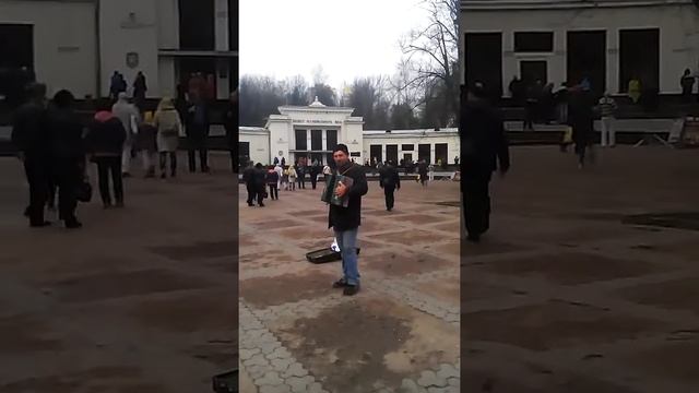 Сим сорок сокращено. смотреть онлайн