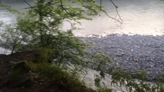 Практика почвоведов. Адыгея. Вгу. 2016