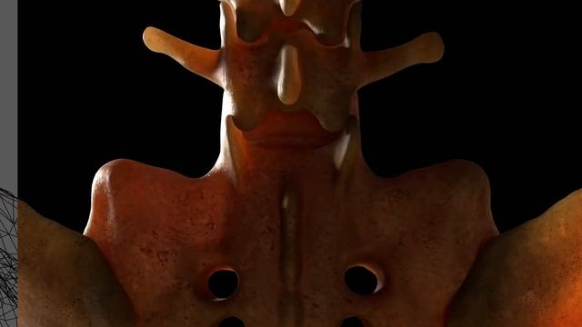 THE SKELETON - Blender Animation / 3D Model Breakdown смотреть онлайн