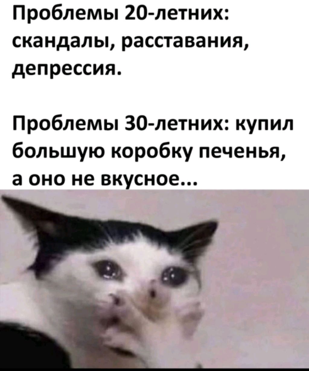 Печенька смотреть онлайн