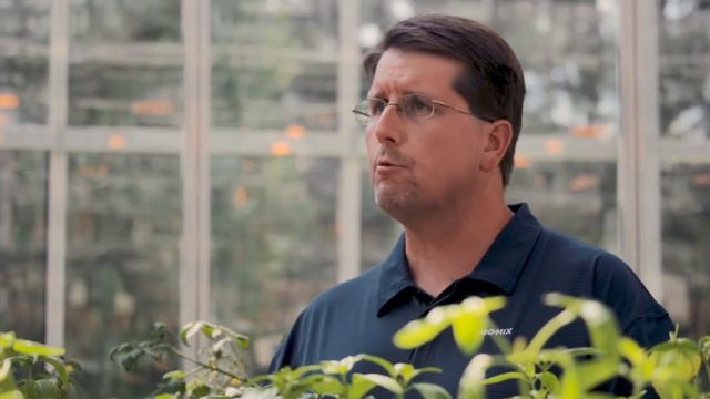 Are PRO-MIX products sterilized? смотреть онлайн