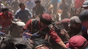 Манас Ниязов жайкы сезон аламан улак