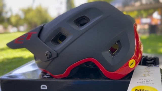 MET TERRANOVA/ Quick Look