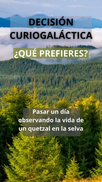 Un día en la vida: Pingüinos emperador vs. Quetzales en su hábitat natural смотреть онлайн