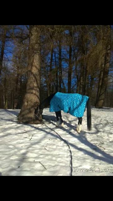 6 лет назад смотреть онлайн