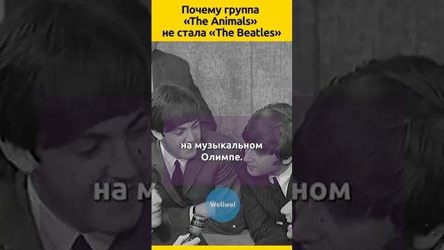 В тени Битлов смотреть онлайн