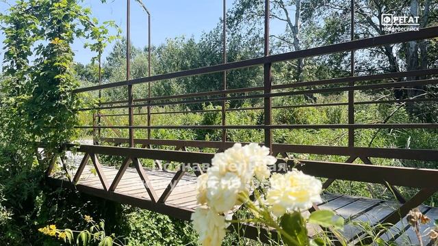 Улиточная ферма Семья Фрегат Новороссийск смотреть онлайн