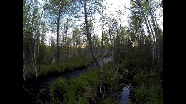 Просто ручей смотреть онлайн