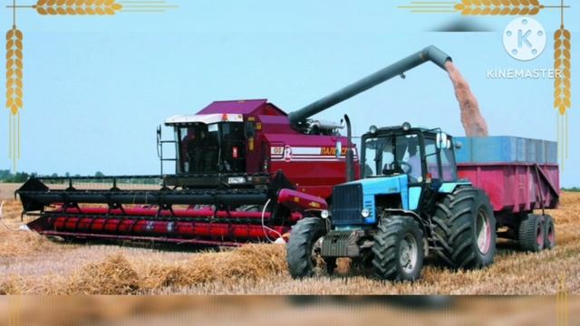 21 Пивнева А.И. смотреть онлайн