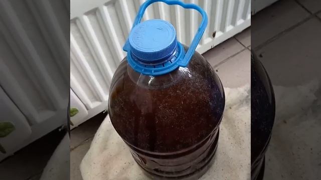 Приготовление раствора ЭМИКС. Советы биолога Ермаковой Татьяны.