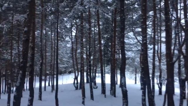 Hello Winter. The First Snow. Первый Снег ) ПРИВЕТ ЗИМА смотреть онлайн
