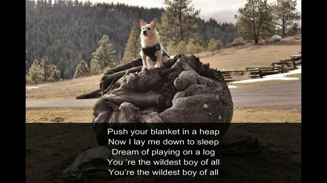 The Perils of Petey Podengo - Petey's Lullaby смотреть онлайн