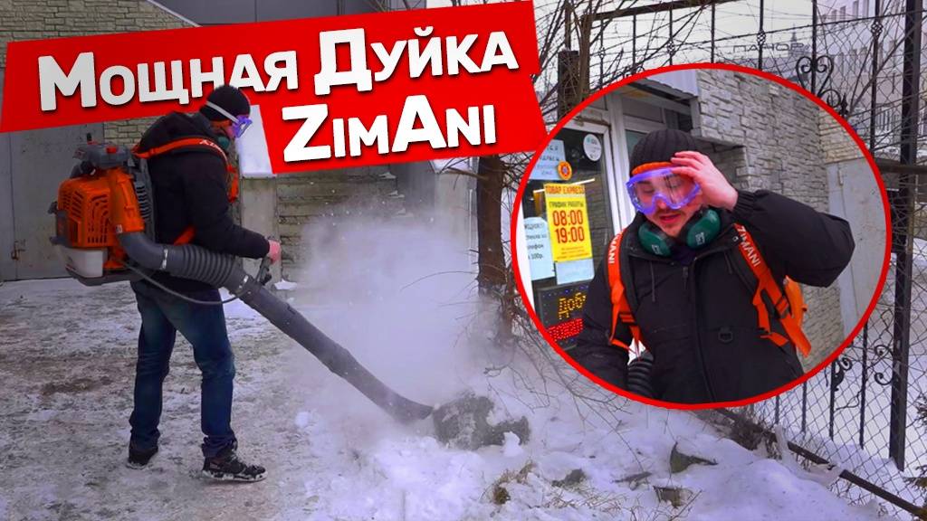 Замена Stihl и Husqvarna или нет? Воздуходувка ZimAni смотреть онлайн