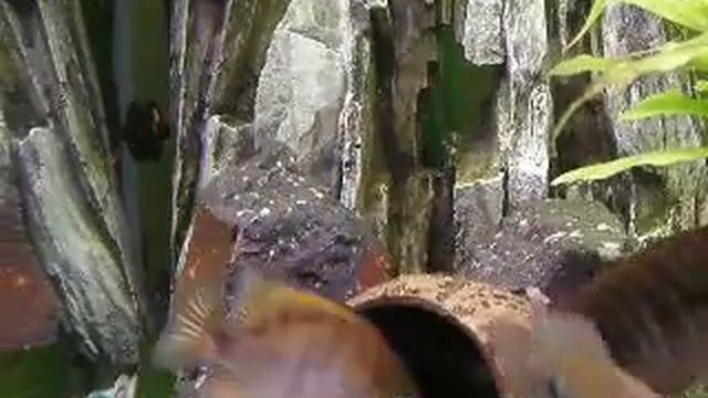 PC250353 смотреть онлайн