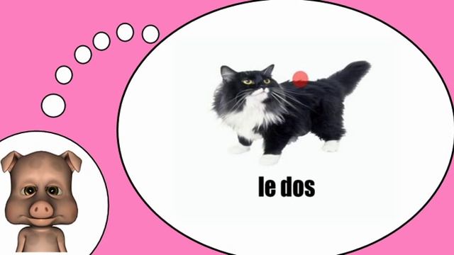 Я люблю Францию = Кошка # 1 смотреть онлайн