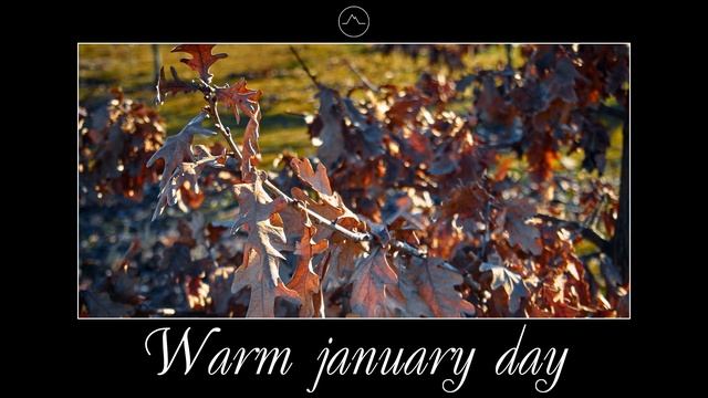Warm january day. [Nature sounds for relaxation of work] смотреть онлайн