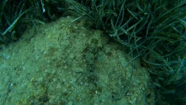 2019 06 03 Seriya 9 Turkey Diving Trip to Turkey by car смотреть онлайн