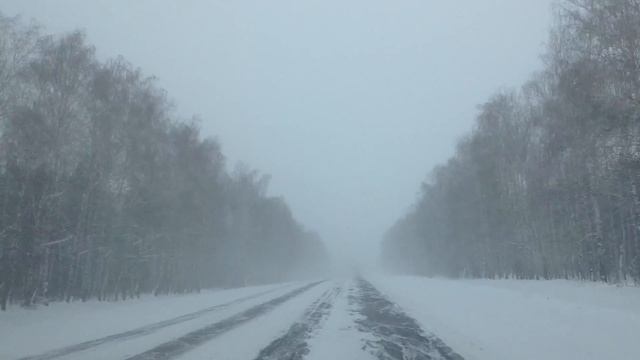 Трасса Николаевка-Новоспасское-Кузоватово-Ульяновск (13.01.2016)