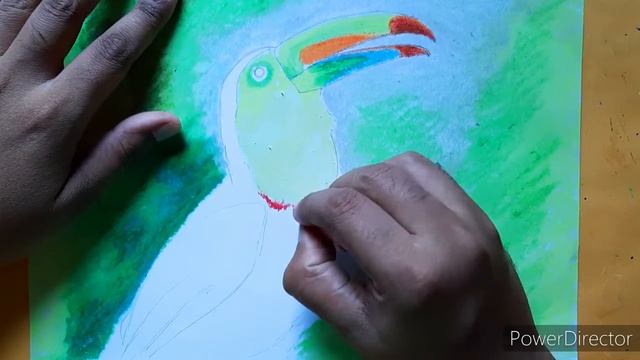 How to draw Toucan with oil pastel | Step by step | Learn Drawing For Kids | Simple Techie Artist смотреть онлайн