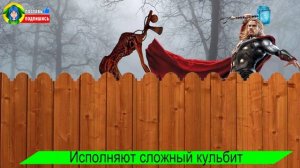 ЧЕЛОВЕК ПАУК ПРОТИВ СИРЕНОГОЛОВОГО! КТО КРУЧЕ ГЕРОИ ИЛИ SCP? Песня Мультик Хоррор Анимация