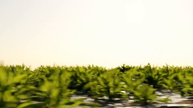 blender cinematic - #animation #blender #yt #b3d смотреть онлайн