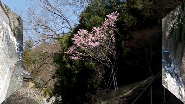 真木温泉 смотреть онлайн