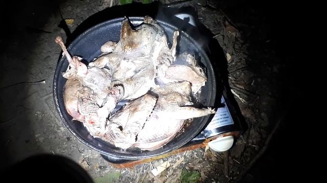 Вяхирь. смотреть онлайн