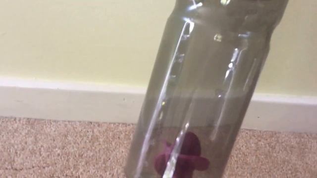 First BzzKit- Rubbermaid Shaker Bottle Review смотреть онлайн