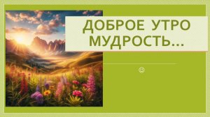 Доброе утро мудрость. Мудрость Dzen. ПРЕЗЕНТАЦИЯ.