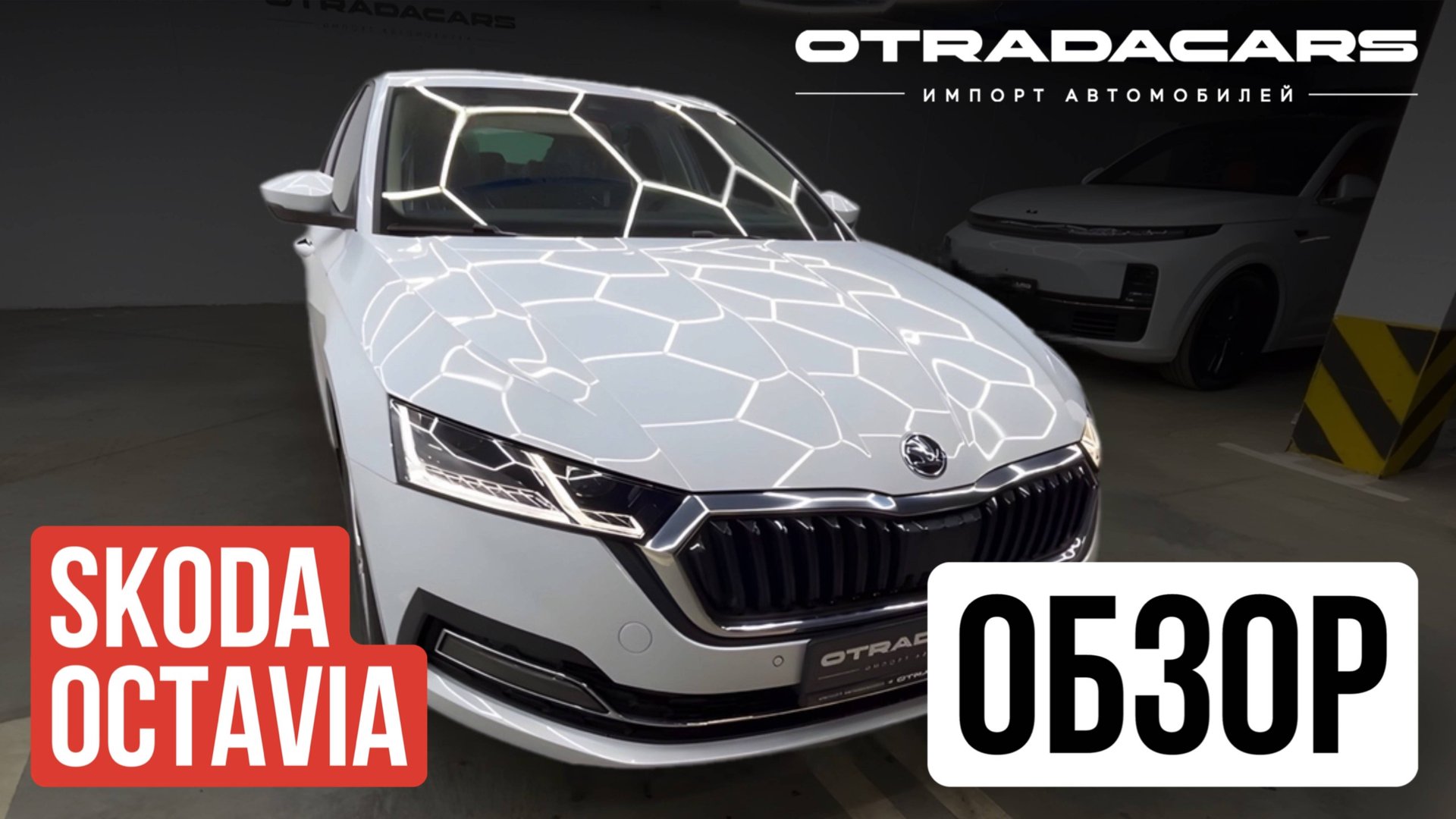 Привезли Skoda Octavia A8 2025 от 3,3 млн. из Казахстана дилерская ОБЗОР смотреть онлайн