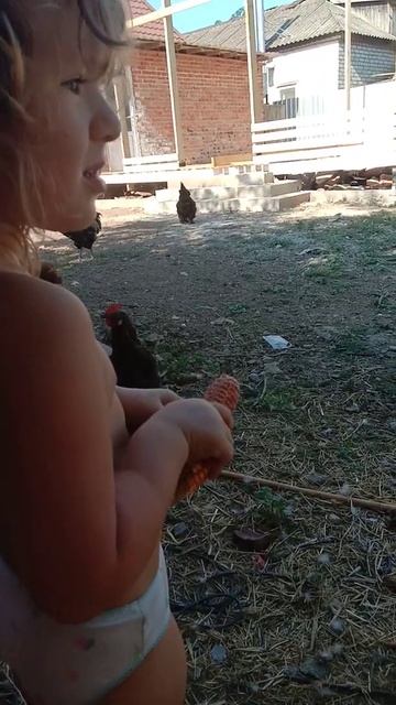 Ручной селезень смотреть онлайн