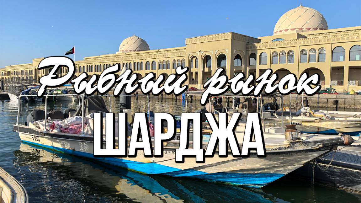 Рыбный рынок Аль-Джубейль в Шардже смотреть онлайн