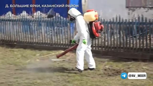 Александр Моор: "В д. Большие Ярки работала дезинфекционная бригада, вела санитарную обработку" смотреть онлайн