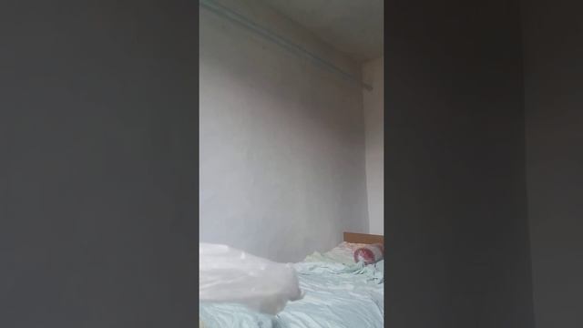 лимон мандарин авакадо питах ая маракую смотреть онлайн