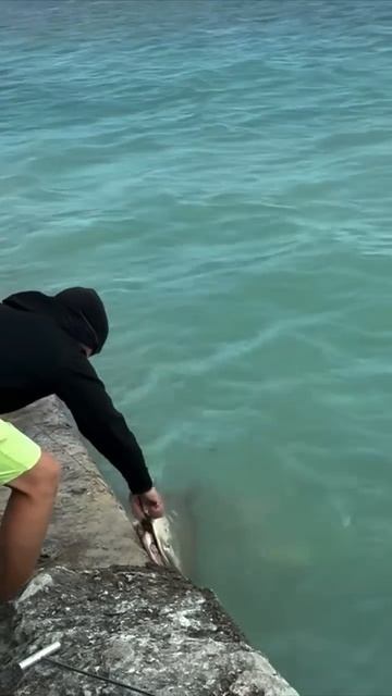 🎣 Рыбалка 🎣 смотреть онлайн