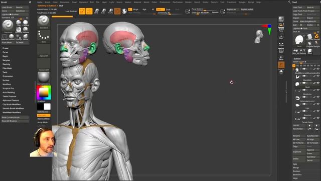 Adventure Time Finn Cross Section and Ecorche Anatomy Timelapse! смотреть онлайн