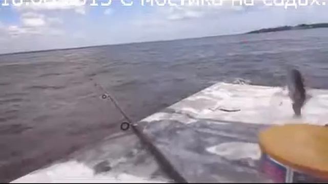 С СЫНОМ НА РЫБАЛКЕ ЛОВИМ ПОДЛЕЩИКОВ С МОСТИКОВ НА САДАХ 18.08.2015р.Днепр.пос. MAH смотреть онлайн