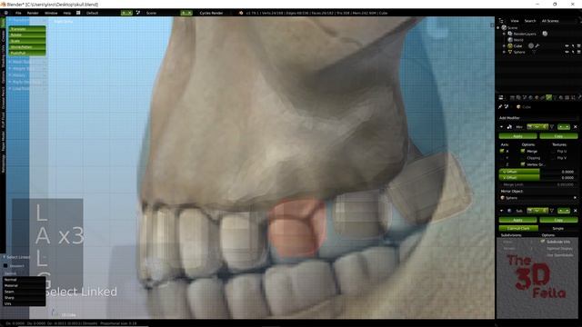 Sculpting a Human Skull in Blender Tutorial and Timelapse смотреть онлайн