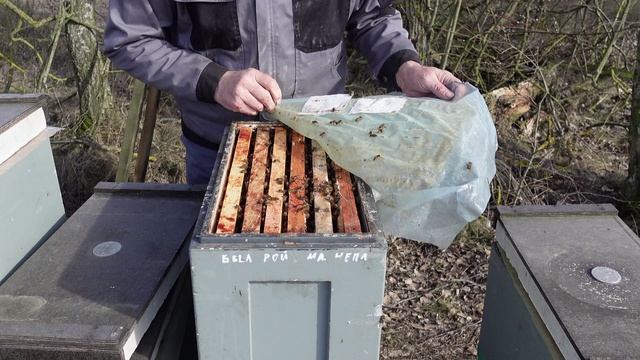 100 % ЗИМОВКА ПЧЕЛ !!!!!! смотреть онлайн