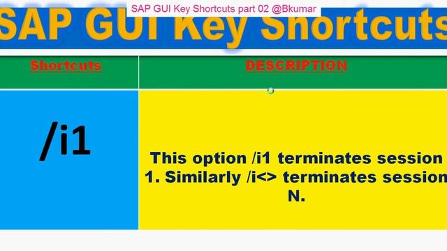 SAP GUI Shortcuts Key part 02 смотреть онлайн