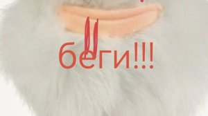 Буба ехе №7