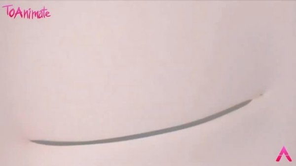 Blender Animation Training l TOAnimate