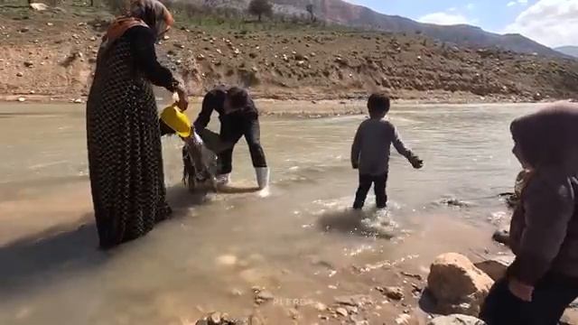 03.04.2024 Обязанности пастуха матери-одиночки Весенняя уборка стада смотреть онлайн